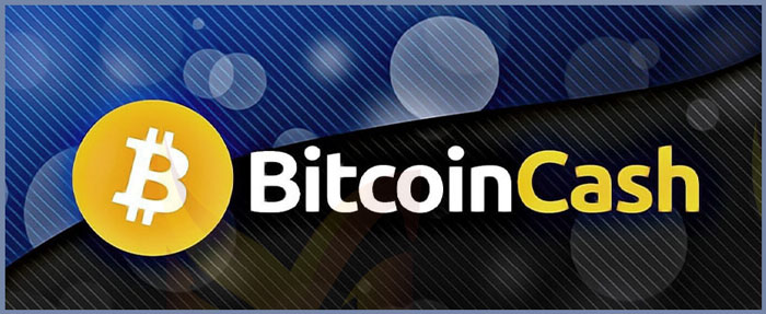 بیت کوین کش چیست؟