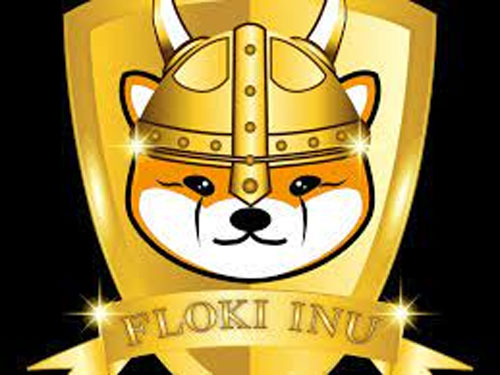 رمز ارز Floki Inu