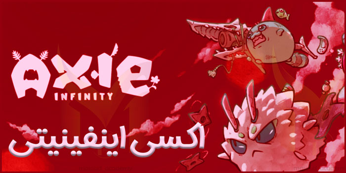 اکسی اینفینیتی چیست؟