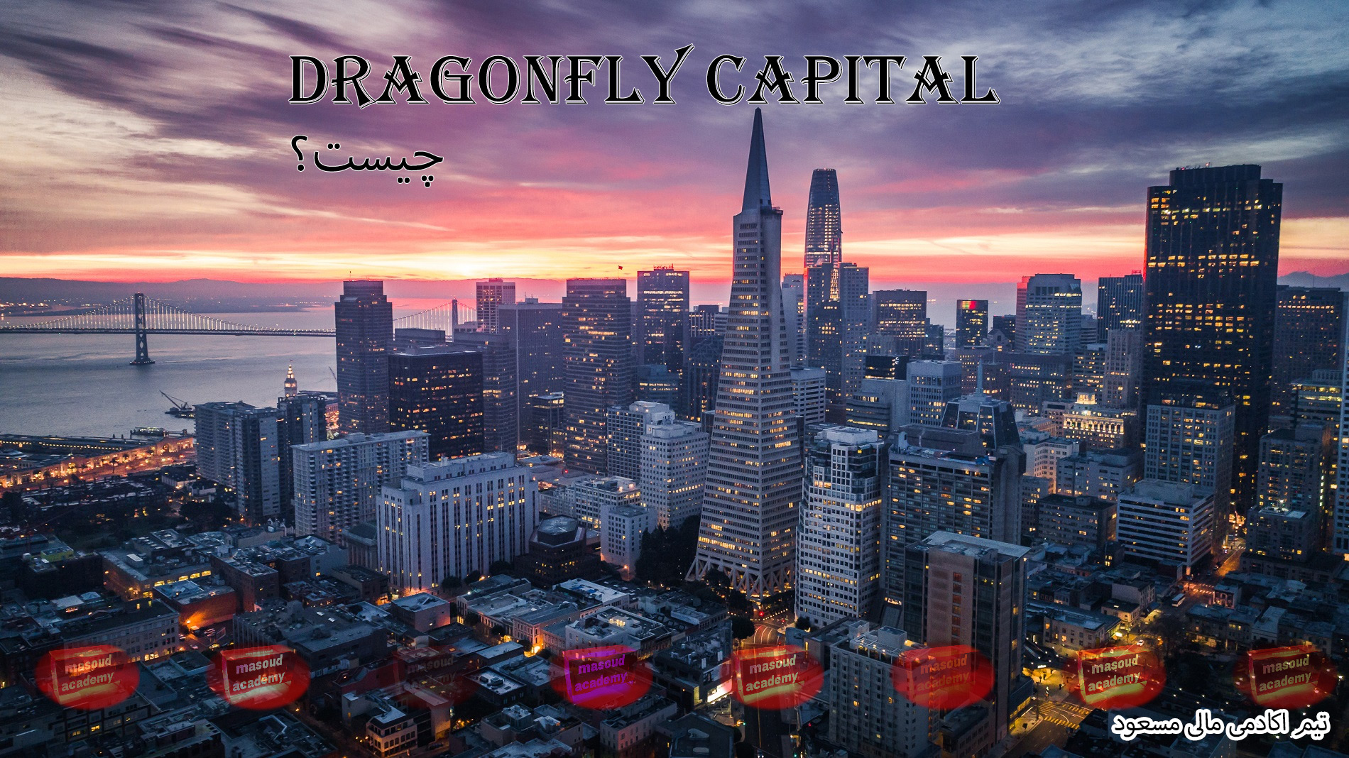 Dragonfly Capital