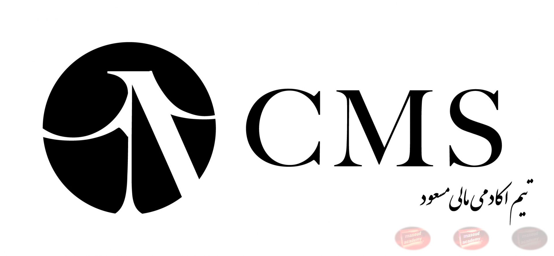 CMS Holding