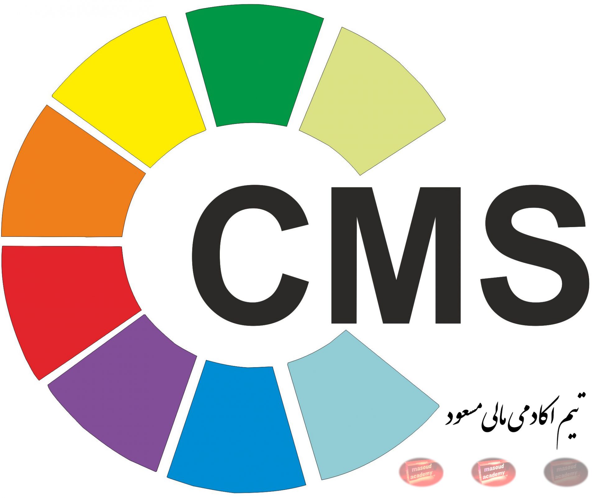 CMS Holding
