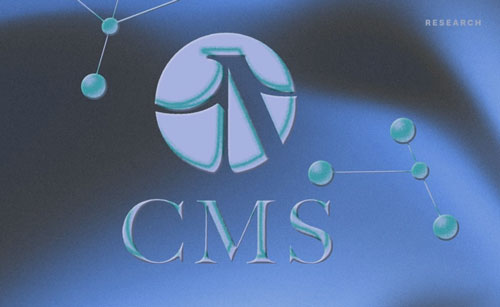 CMS Holding
