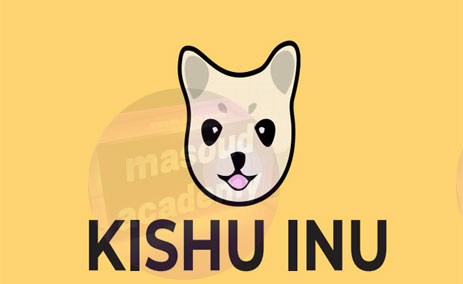 kishu inu